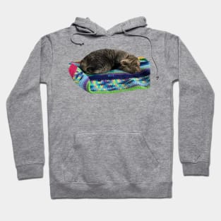 Sleeping Cutie Hoodie